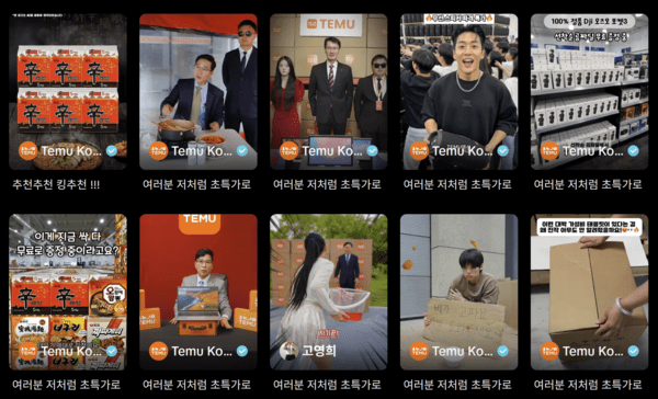 틱톡에 게재된 테무 광고들